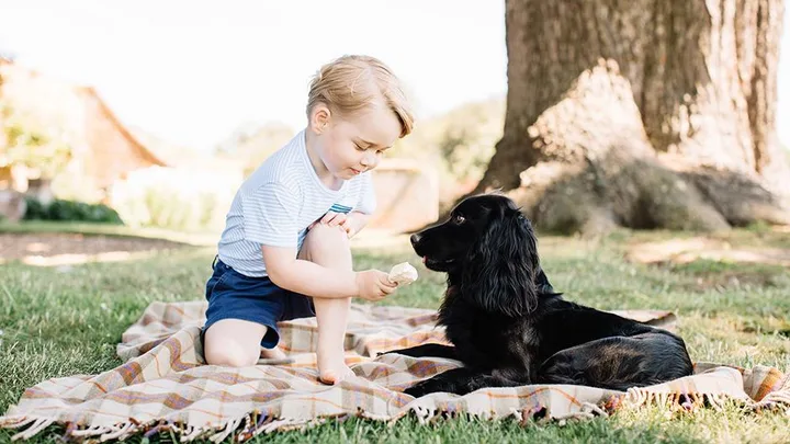 Prince George birthday portrait.