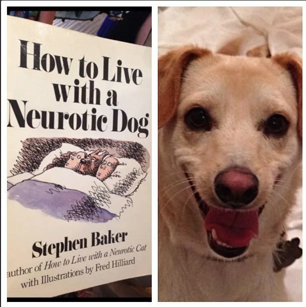 Book titled "How to Live with a Neurotic Dog" by Stephen Baker next to a smiling dog.