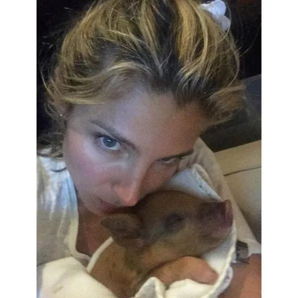 Woman cuddling a small pig, wrapped in a white cloth, while sitting indoors.