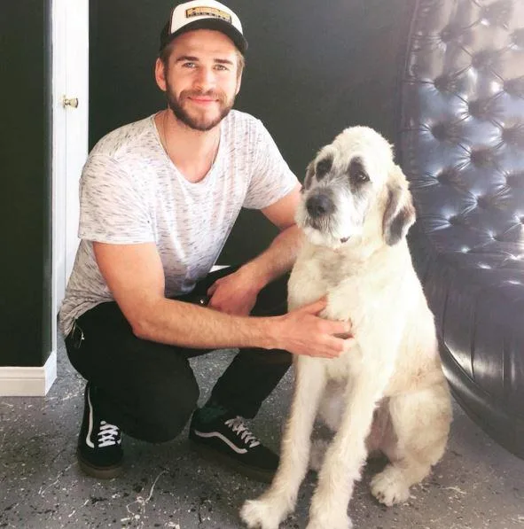 Man in a cap and t-shirt crouching next to a large, fluffy dog indoors.