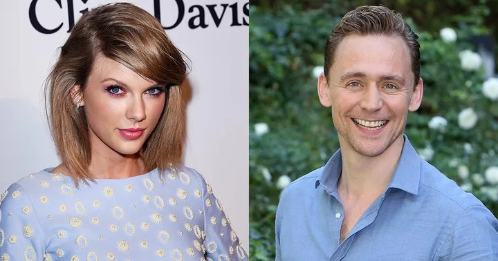 new hiddleswift theory