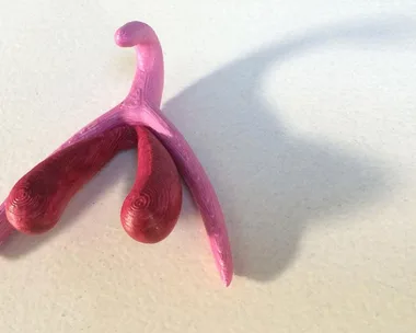 3d printed clitoris odile fillod