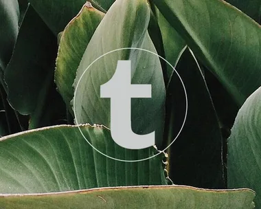 Tumblr logo.