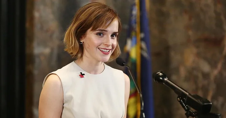 emma watson bullied UN