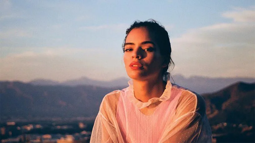 (insta pro) What does Instagram professional mean?