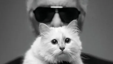 Karl Lagerfeld's cat Choupette