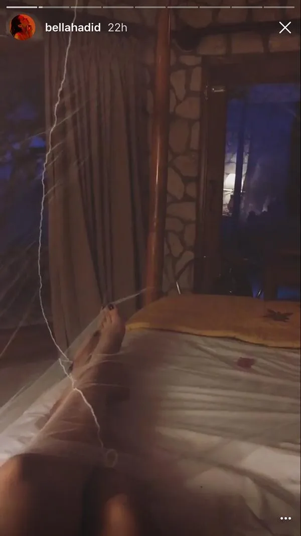 Legs on a bed with mosquito netting, a dimly lit room, and a view of trees through a window at dusk.