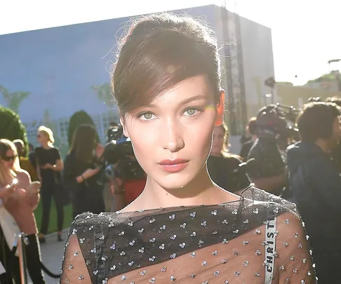 Bella Hadid Sheer Dior Dress