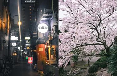 Split image of Tokyo; left shows an alley at night with neon signs and lanterns, right shows a cherry blossom tree in full bloom during the day.