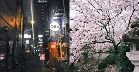 Split image of Tokyo; left shows an alley at night with neon signs and lanterns, right shows a cherry blossom tree in full bloom during the day.