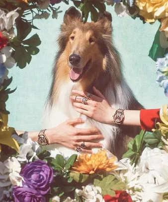 Gucci's New Year of the Dog campaign