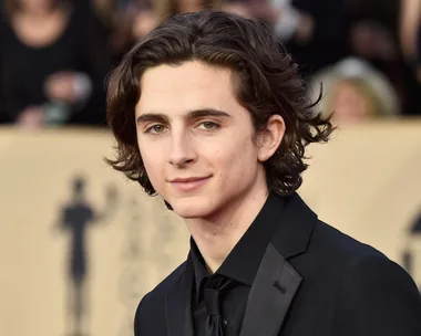 Timothee Chalamet at 2018 SAG Awards