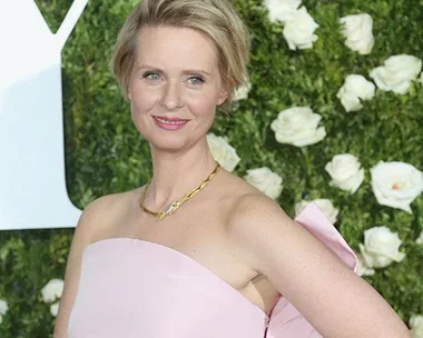 Cynthia Nixon Is Selling Unqualified Lesbian Campaign Pins