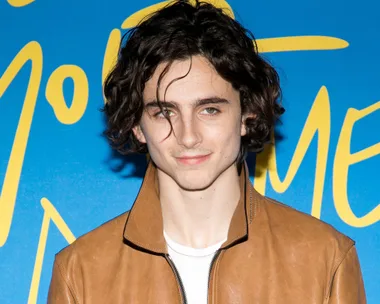 Timothee Chalamet Oscars 2018