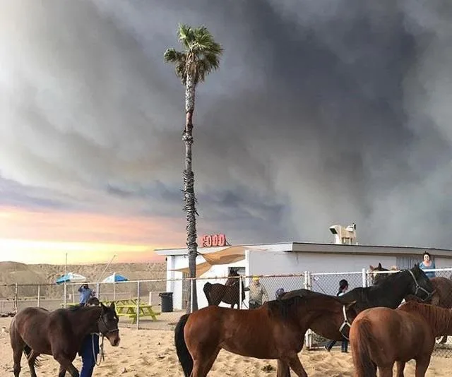 Malibu wildfires