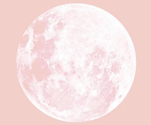 Strawberry Snow Moon