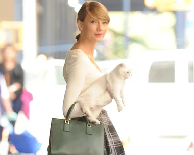 Cats Taylor Swift. 