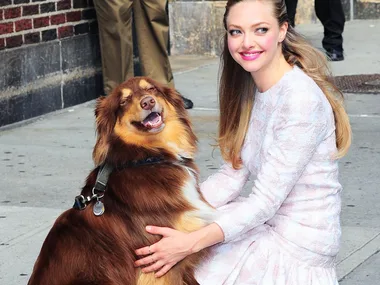 Amanda Seyfried and her dog.