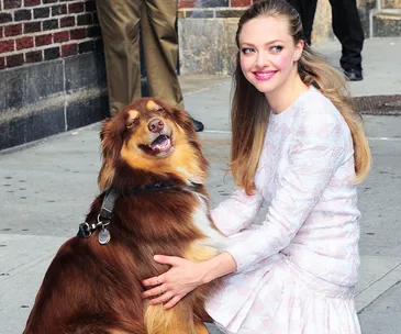 Amanda Seyfried and her dog.