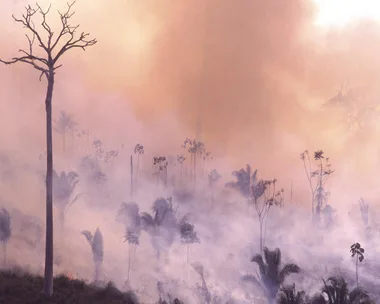 The Amazon Forest in Brazil, burning in a fire. 