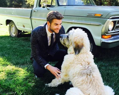 Liam Hemsworth with his dog. 