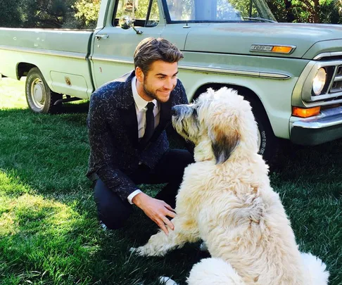 Liam Hemsworth with his dog.