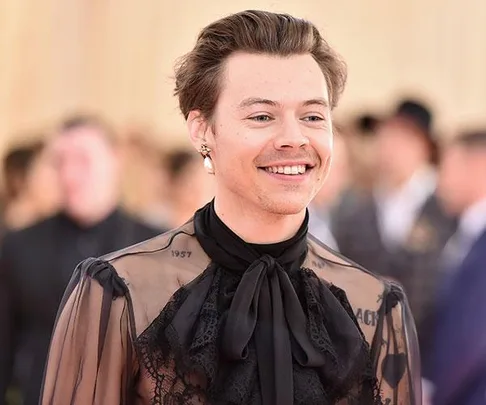 Harry Styles smiling in a sheer black outfit at a formal event.