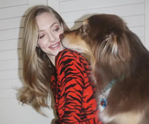 Dogs humans stress study