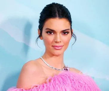 A person in an elegant pink feathered outfit and necklace poses against a light blue background.