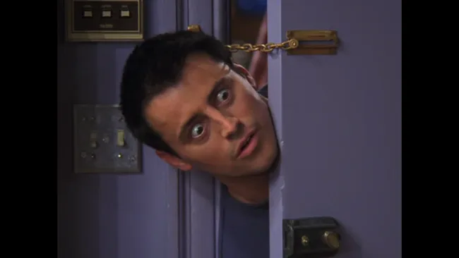 Matt LeBlanc starred in erotic series The Red Shoe Diaries before getting his big break with Friends.