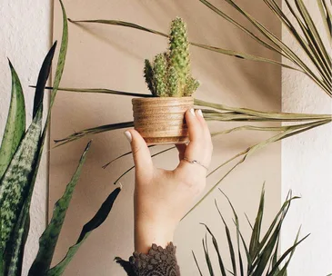 A woman holding up a cactus with plants in the background