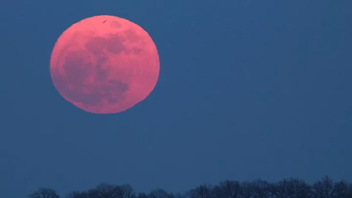 A large, pink-tinted full moon rises above silhouetted trees against a dark blue sky.