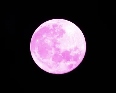 Pink full moon against a black sky, known as the Strawberry Moon.