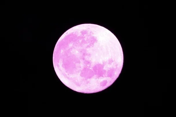 Pink full moon against a black sky, known as the Strawberry Moon.