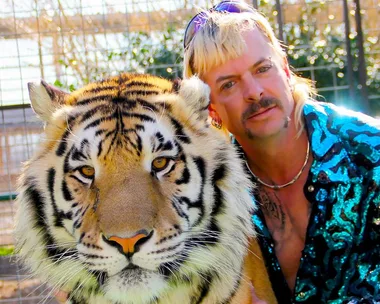 Person in a sequined shirt and sunglasses poses with a tiger in a cage outdoors.