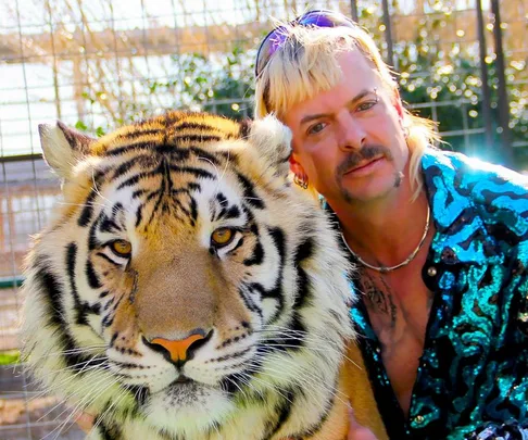 Person in a sequined shirt and sunglasses poses with a tiger in a cage outdoors.