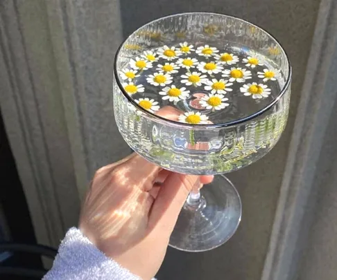 A hand holding a coupe cocktail glass filled with water and floating chamomile flowers.