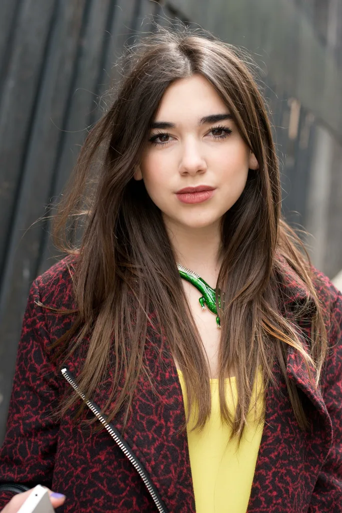 Dua Lipa Before & After: The Singer's Beauty Evolution