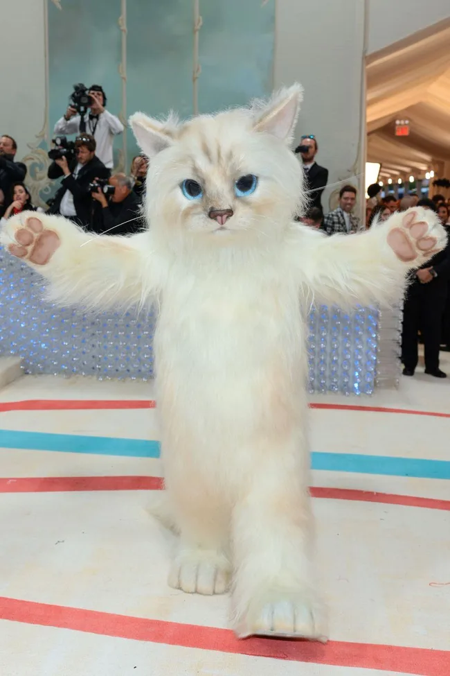 Fluffy cat costume on the Met Gala 2023 red carpet, capturing a playful moment with photographers in the background.