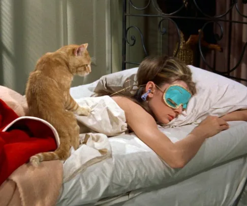 A woman in bed wearing a turquoise sleep mask with a ginger cat beside her, scene from a classic film.