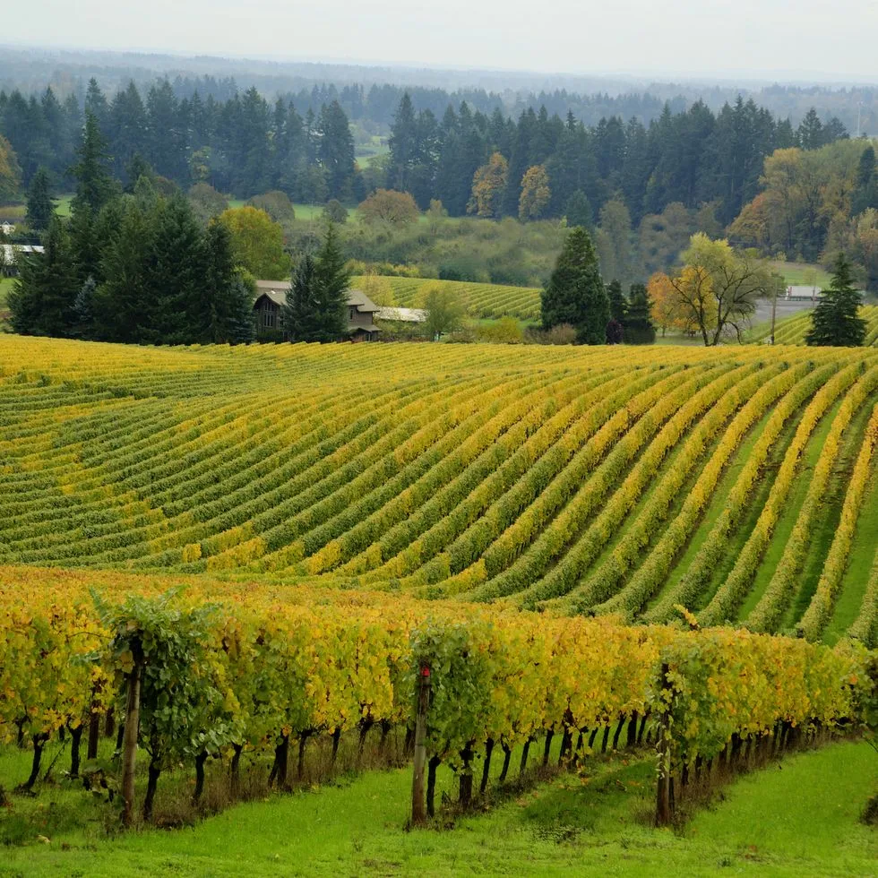 Oregon: 5 Reasons To Add It To Your Travel List ELLE ELLE