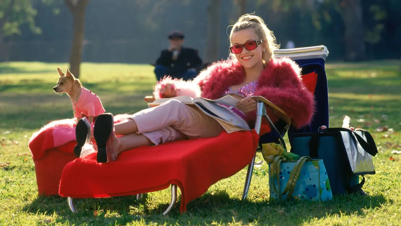 'Legally Blonde' TV Series Finds Its Elle Woods