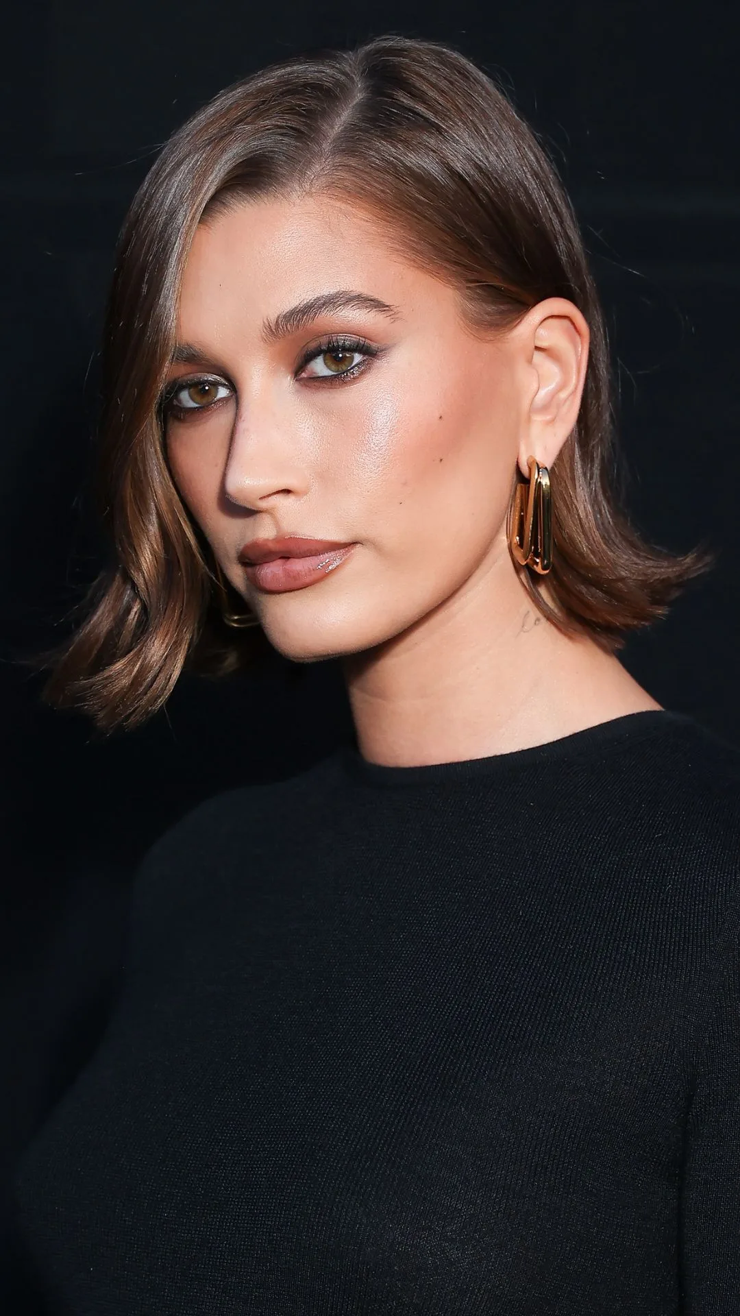 hailey bieber brunette