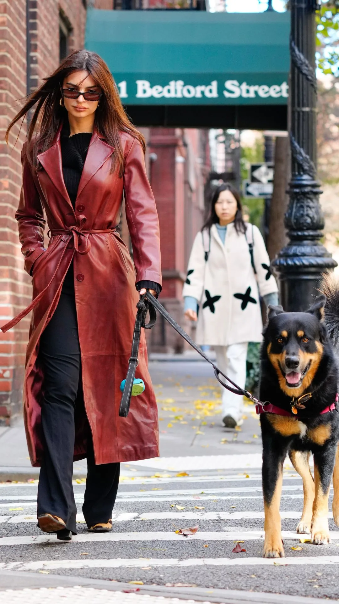 emily ratajkowski dog walking