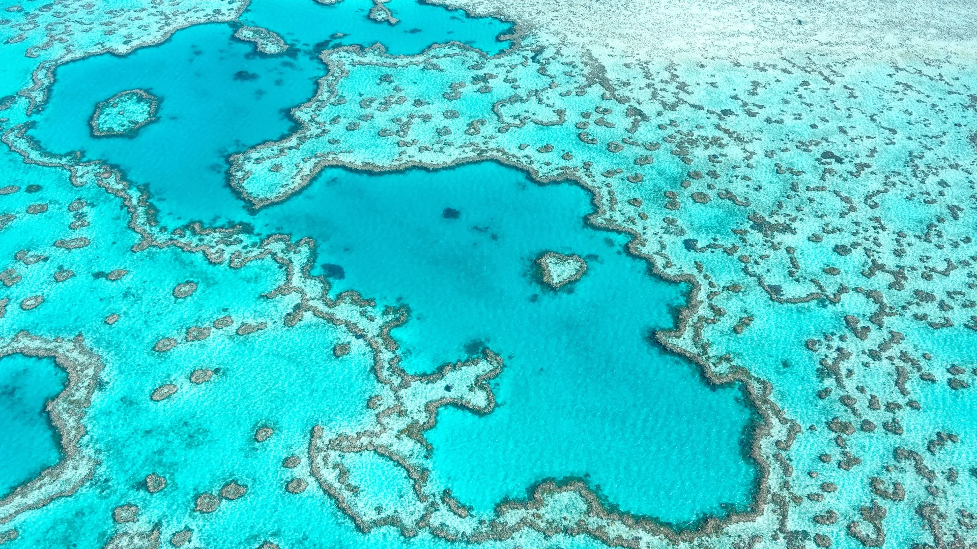 The Great Barrier Reef