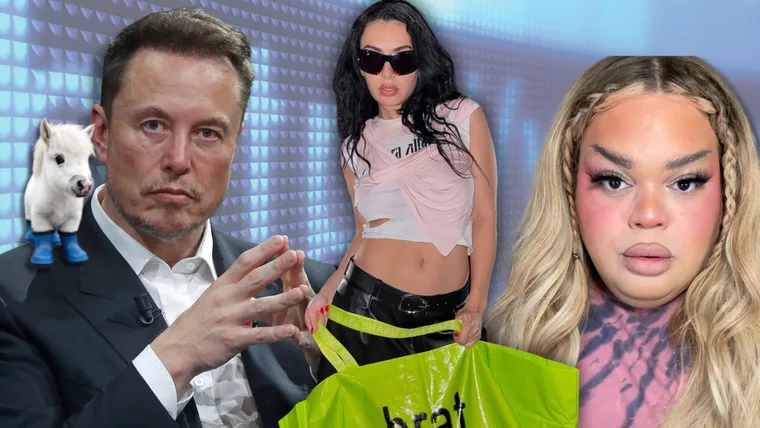 Elon Musk, a tiny TikTok pony, Charli XCX and Jools Lebron all contributed to the zeitgeist in 2024