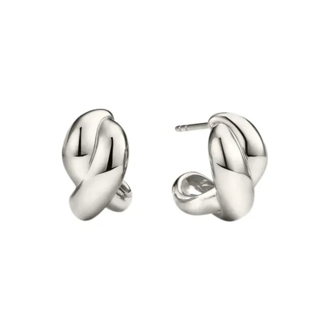 best capricorn gifts earrings