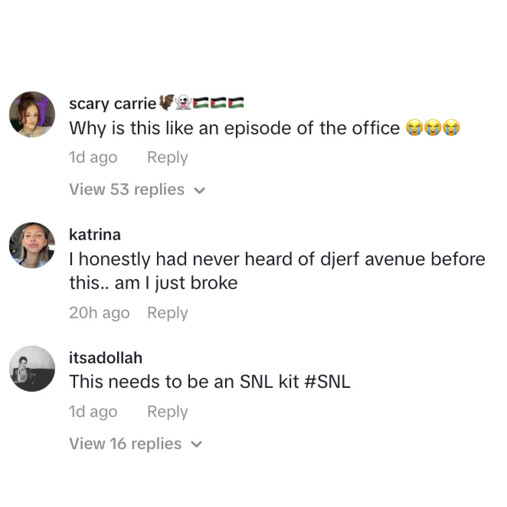 TikTok viewers commenting on deleted Djerfmas videos