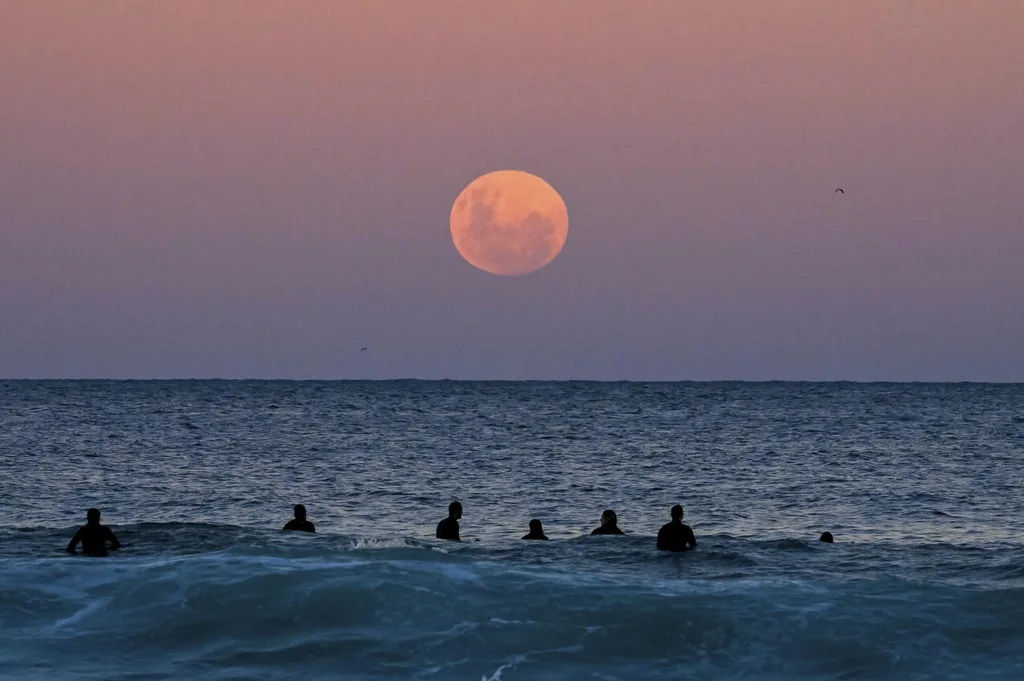 Image: Getty The "Super Flower Blood Moon" rises over the Pacific Ocean at Bondi Beach in Sydney, Australia on May 26, 2021.