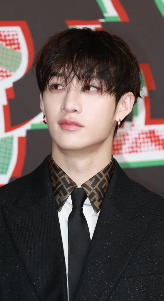 Bang Chan of K-Pop boy band Stray Kids was born in Sydney.